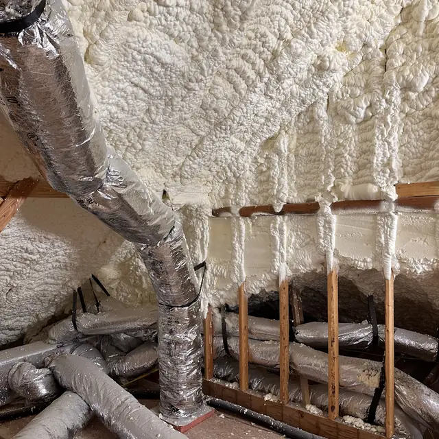 New Braunfels Bungalow photo 33